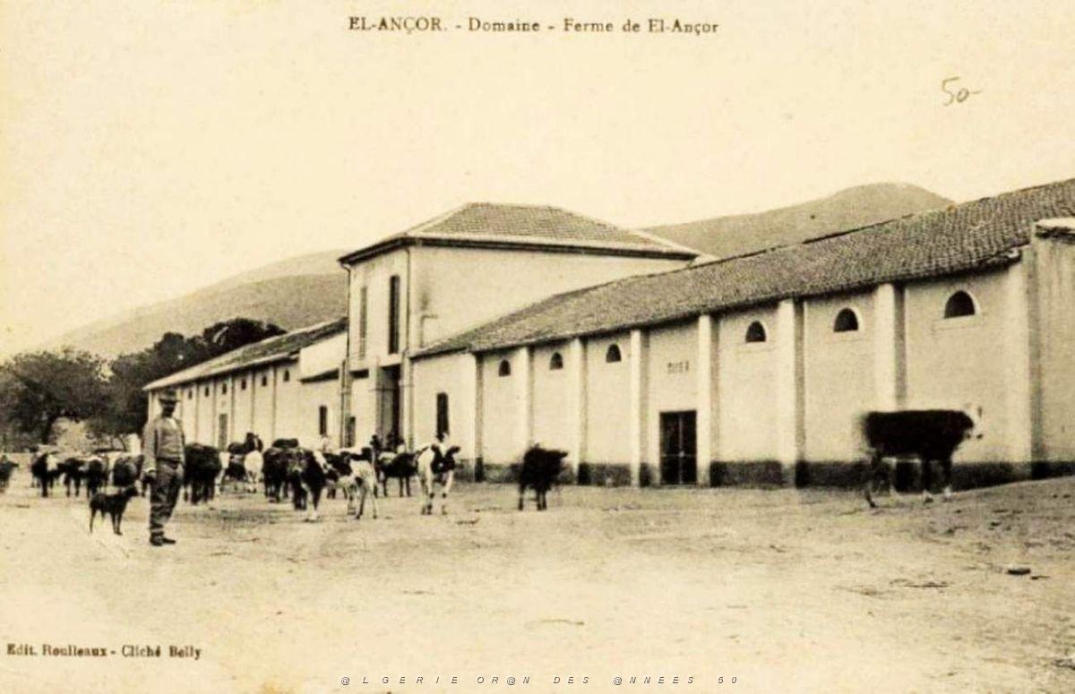 El ancor 05.jpg